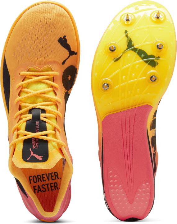 Immagine prodotto Puma evoSPEED Nitro Elite 2 per le lunghe distanze (47)