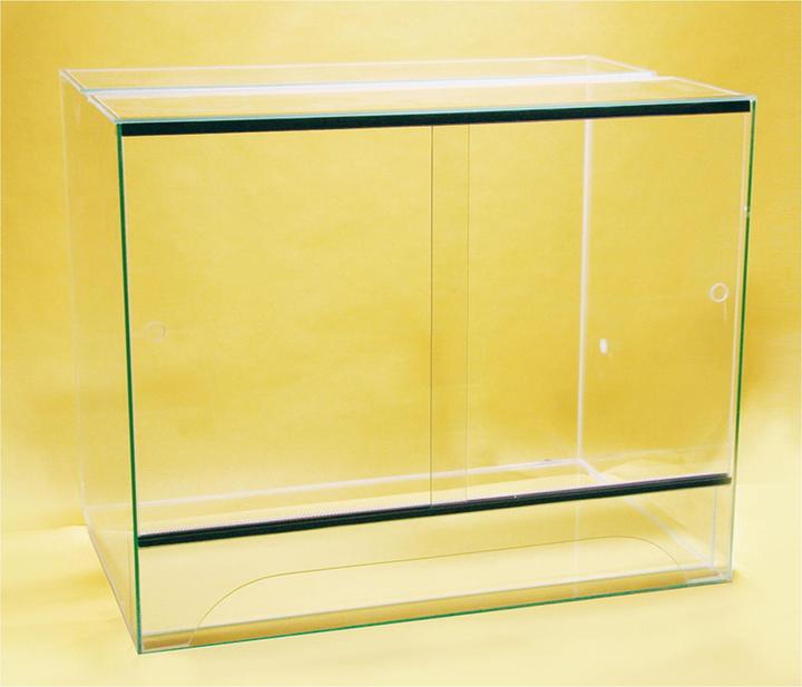 Actual product image Texas Terrarium