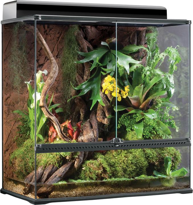 Image du produit Exo Terra Terrarium