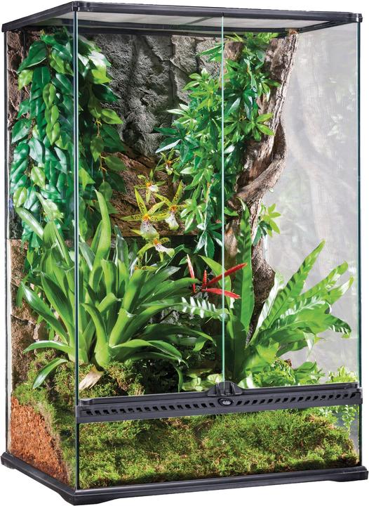 Productafbeelding Exo Terra Glazen terrarium