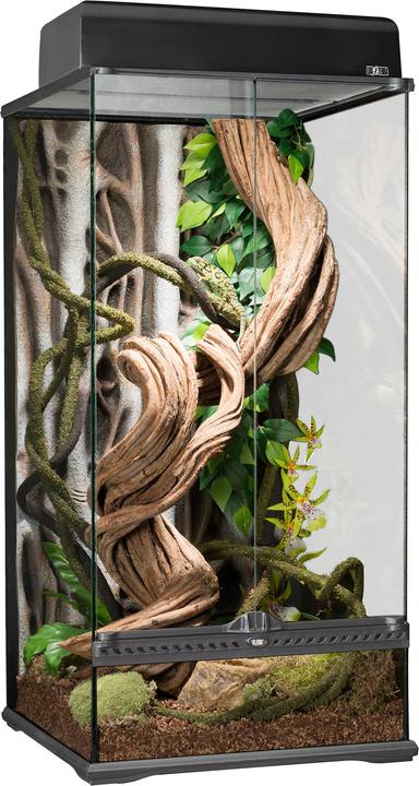 Exo Terra Foresta pluviale