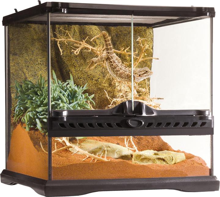 Exo Terra Terrarium Mini