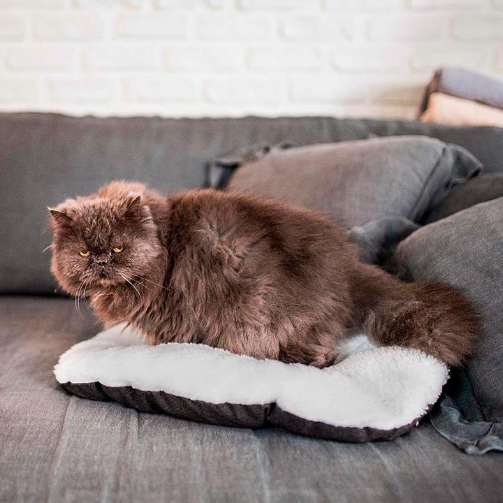 Produktbild Ferplast Relax (Hund, Katze)