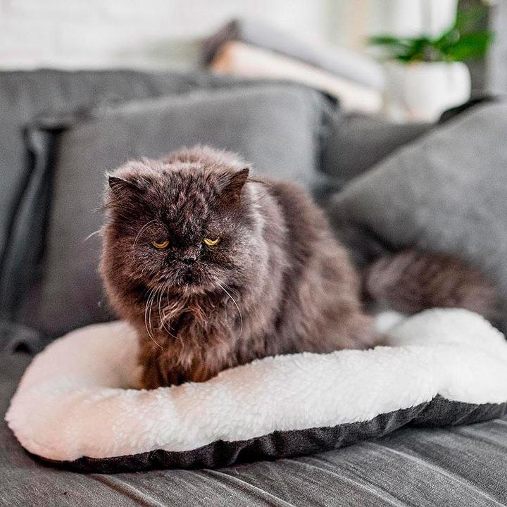 Produktbild Ferplast Relax (Hund, Katze)