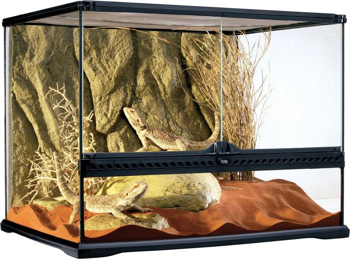 Exo Terra Terrarium
