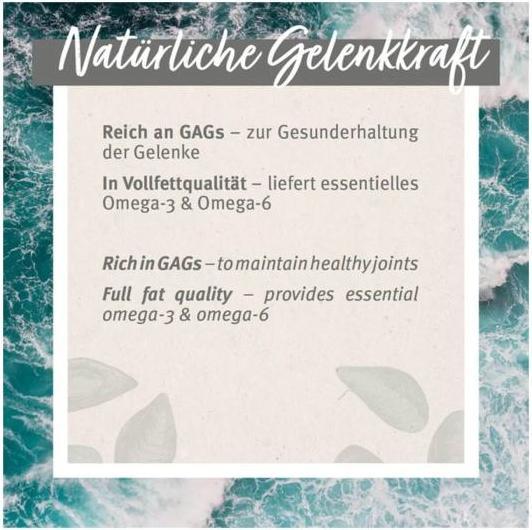 Produktbild AniForte Grünlippmuschel Kapseln (Adult, 100 Stk.)