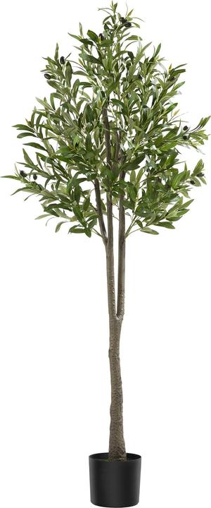 Immagine prodotto tectake Olivenbaum Oleand (150 cm)