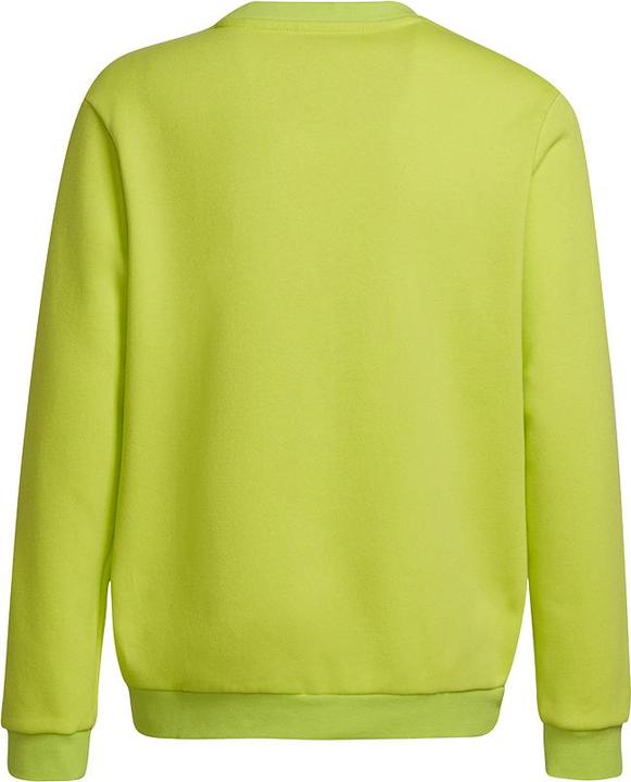 Produktbild adidas Entrada 22 Sweatshirt Kinder (164)