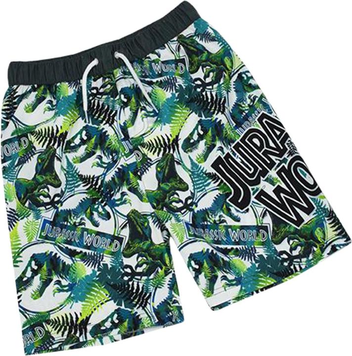 Actual product image Jurassic World Boys' shorts (128)