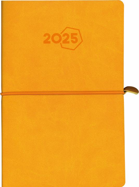Immagine prodotto Aurora Agenda Universo Tesoro 2025 3416 1W/2S assortiti ML 14,5x21cm (A5, Tedesco)