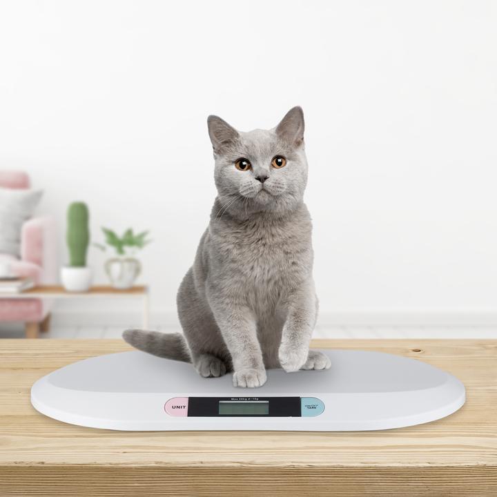 Immagine prodotto Little Choice Bilancia digitale (20 kg)