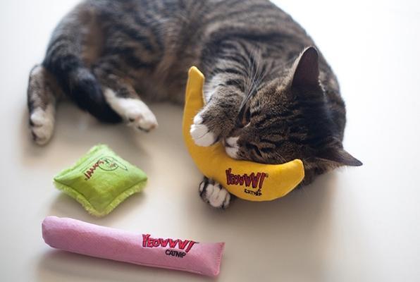 Actual product image Yeowww Banana 18cm filled with catnip (Catmint toy)