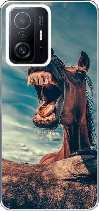 Funny horse
