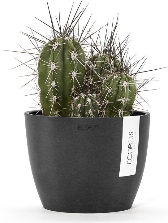 Actual product image Ecopots Stockholm (16 cm)