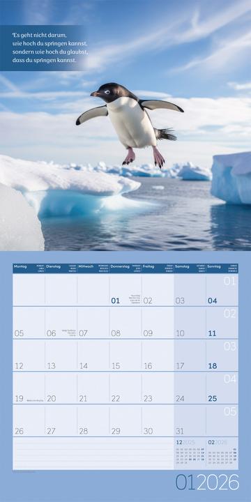 Actual product image Alles wird gut! Kalender 2026 - 30x30 (30 x 30 cm, Hardcover, French, English)