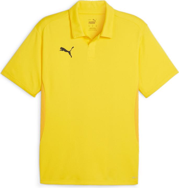 Puma teamGOAL Polo