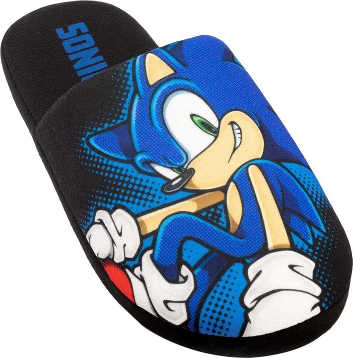 Actual product image Sonic The Hedgehog Slippers (45.5)