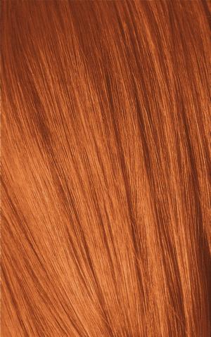 Produktbild Schwarzkopf Professional Igora Expert Mousse (100 ml, Schaumfestiger)