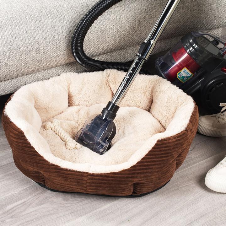 Image du produit Beldray BEL0700TBVDE Compact Pet Plus