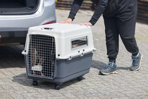Produktbild Karlie Nomad (Hund, Katze, Abschliessbar)