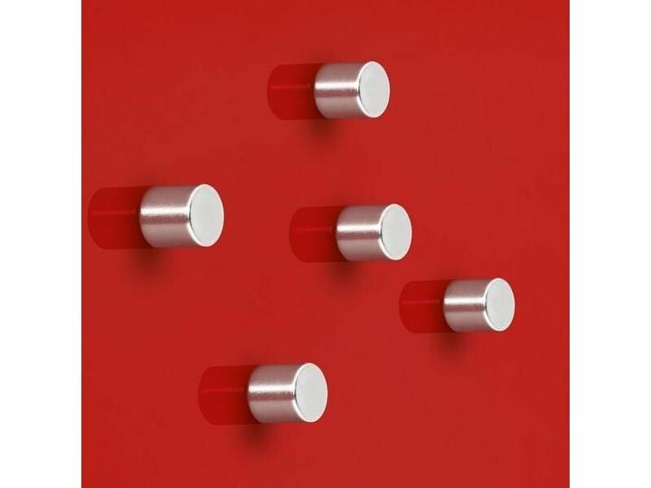 Immagine prodotto Sigel Magnete Cilindro al neodimio 5ST argento (5 x)
