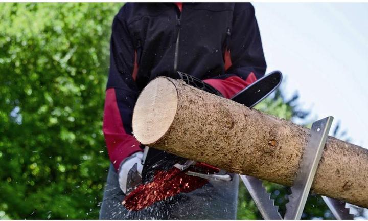 Actual product image Einhell GC-PC 2040 I (Petrol chain saw)