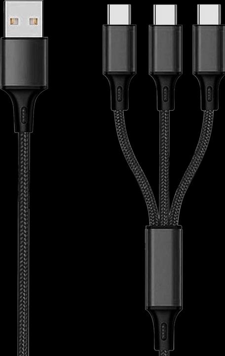 Actual product image 2GO 797156 USB cable USB B 3x USB C (1.50 m)