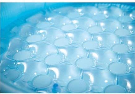 Actual product image Intex Mushroom