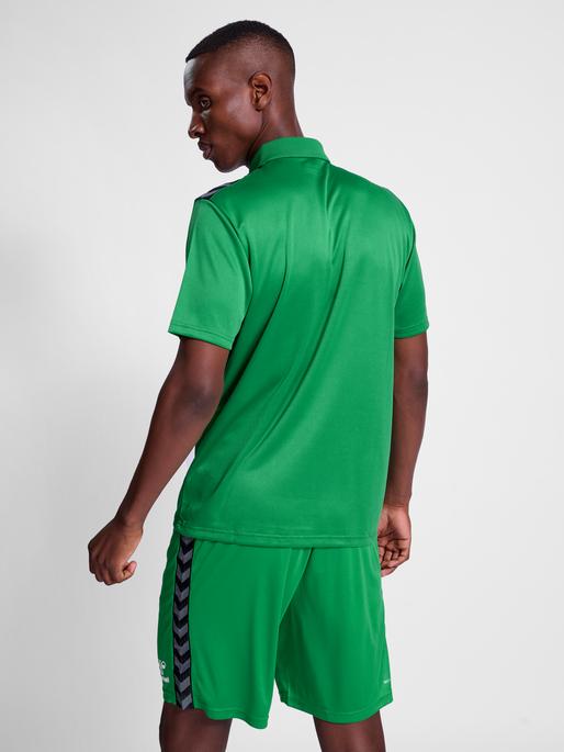 Actual product image hummel Hmlauthentic Functional Polo (L)
