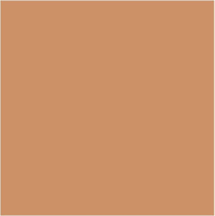 Actual product image Mesauda Face - The Skin Moisturising Foundation C50 (C50)