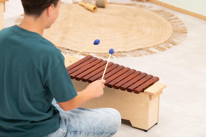 Immagine prodotto Betzold Musik Xilofono contralto (Xilofono)