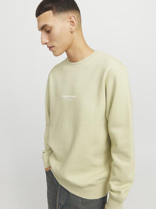 Immagine prodotto Jack & Jones Jorvesterbro Sweat Crew Neck Noos (L)
