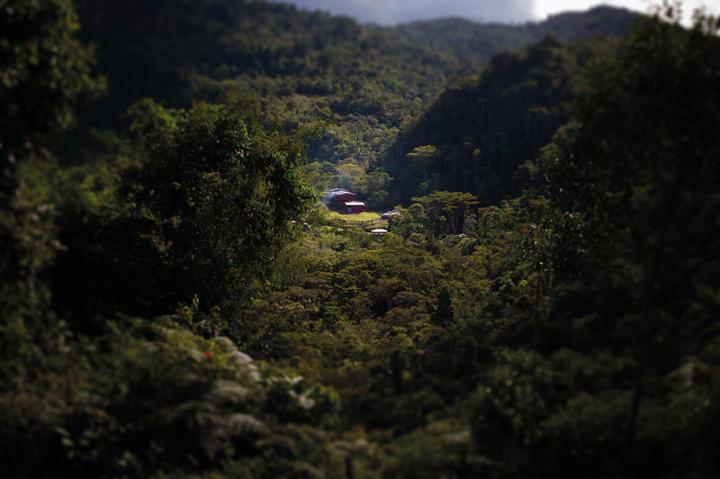 Immagine prodotto Tropical Mountains capitano biologico (21 x Porta.)