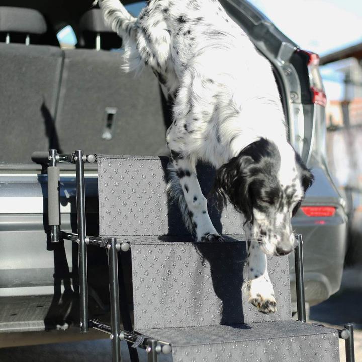 Actual product image Esmée Dog stairs (Dog, Foldable)