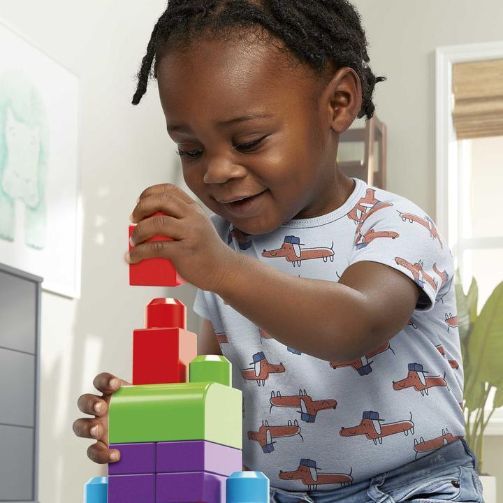 Actual product image Mega Bloks Building blocks bag
