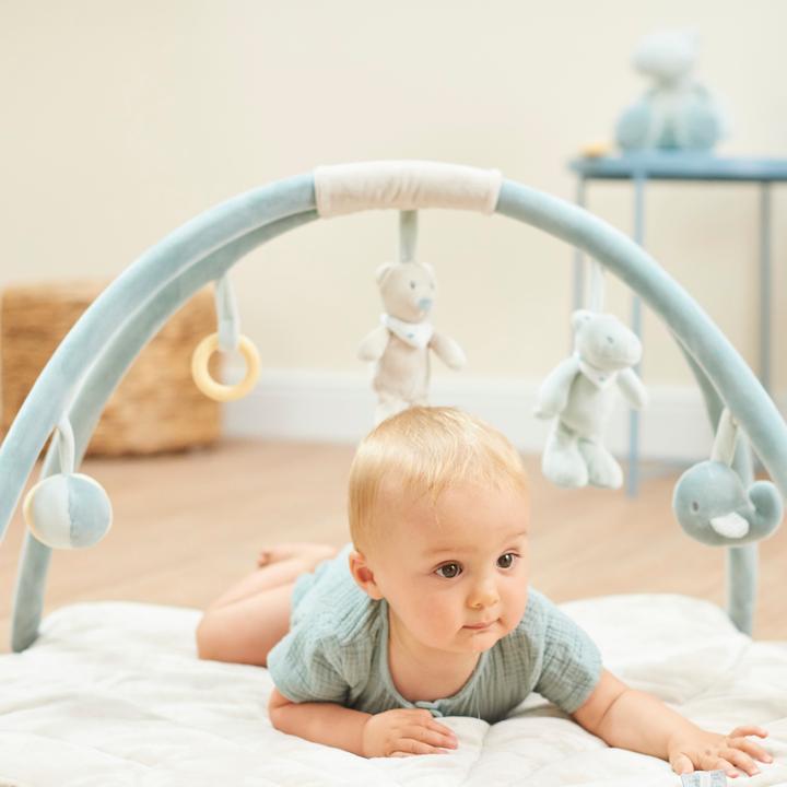 Actual product image Nattou Baby gymnastics