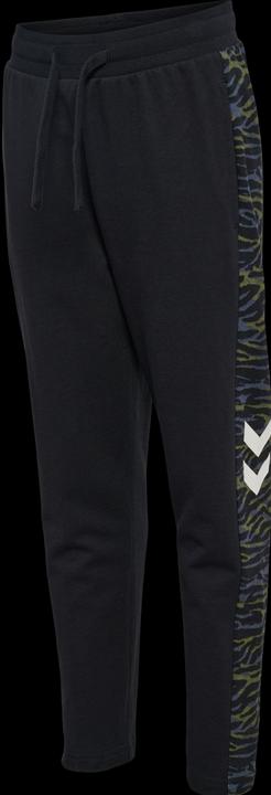 Image du produit hummel Hmlfrede Pants (152)