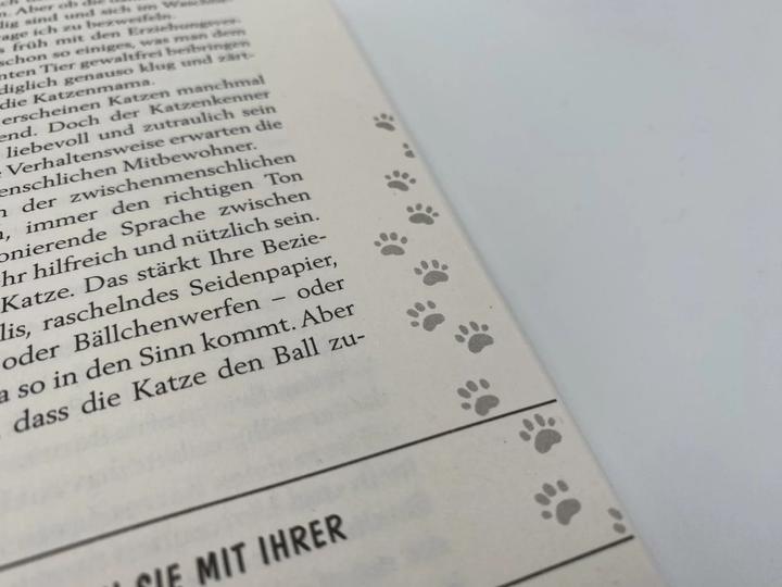Produktbild Pfoten vom Tisch! (Deutsch, Hape Kerkeling, 2023)