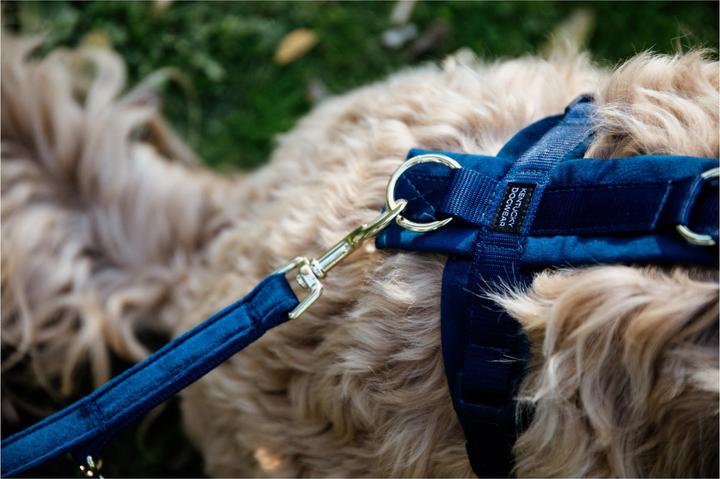 Produktbild Kentucky Dogwear Hundeleine Velvet (L, Hund, Allgemein)