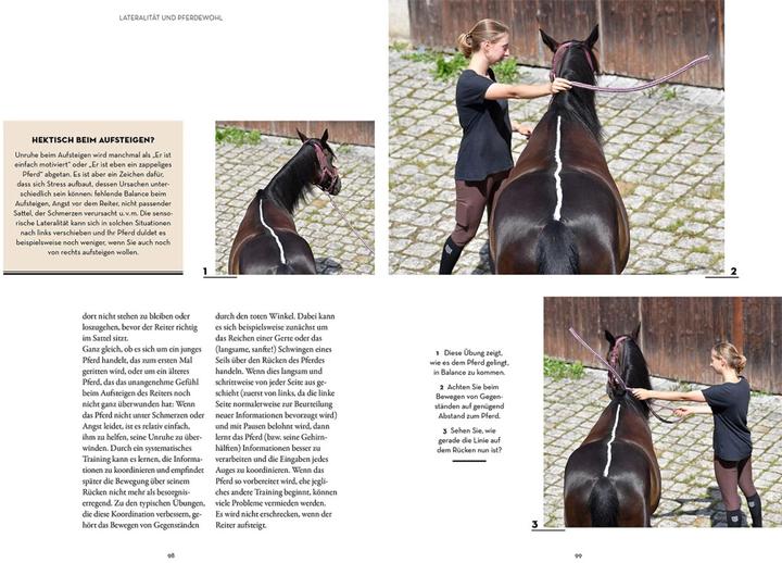Produktbild Kosmos Lateralität bei Pferden (Deutsch, Isabell Marr, Farmer, Kate Konstanze Krger, 2024)
