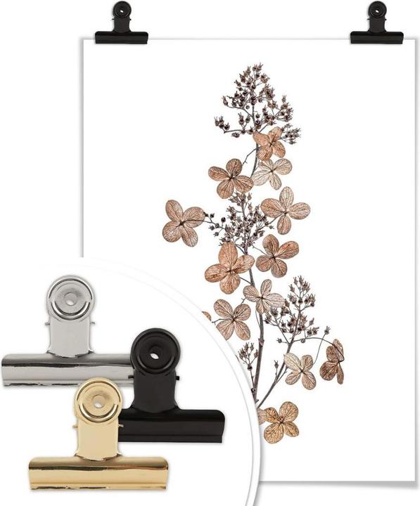 Produktbild Trenddeko Hortensie (30 x 40 cm)