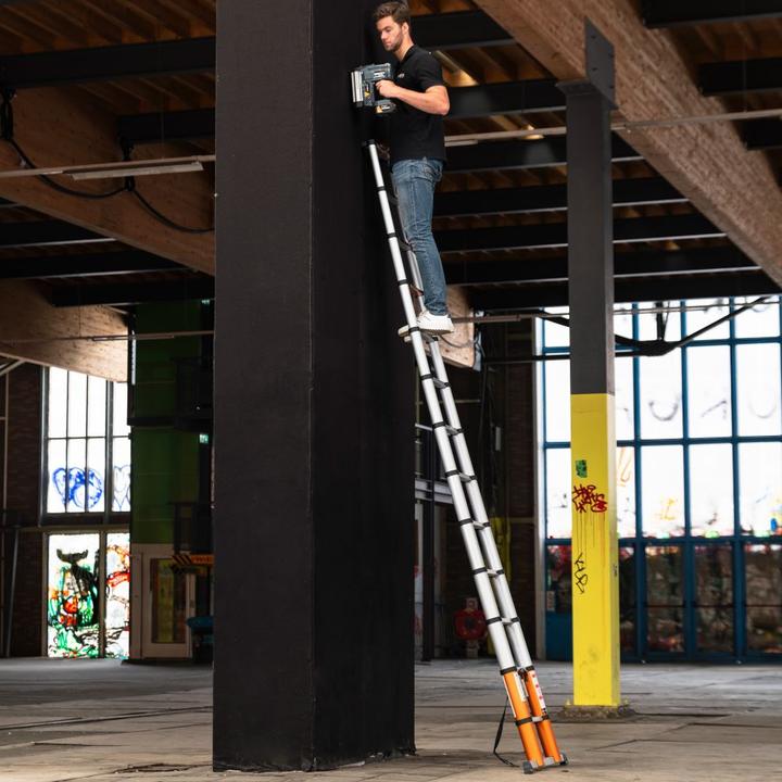 Immagine prodotto Batavia Aria di giraffa (Scala doppia, 380 cm)
