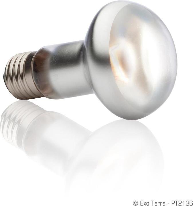 Actual product image Exo Terra Sun Glo Heat Spot Lamp TB 75W (UVA)