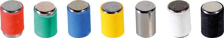 BoOffice Magnete MagPin (12 x)
