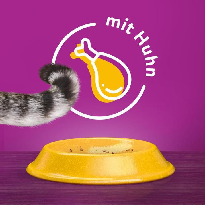 Actual product image Whiskas 1+ (Adult, 1 pcs., 3800 g)