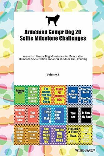 Image du produit Armenian Gampr Dog 20 Selfie Milestone Challenges Armenian Gampr Dog Milestones for Memorable M (Anglais, Doggy Todays Doggy, 2019)