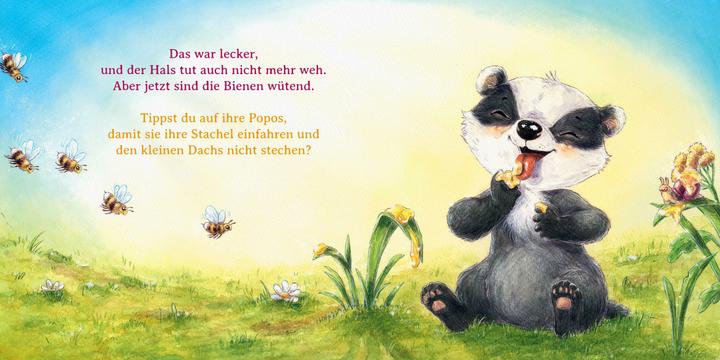 Actual product image Wer ist hier ein Frechdachs? (German)