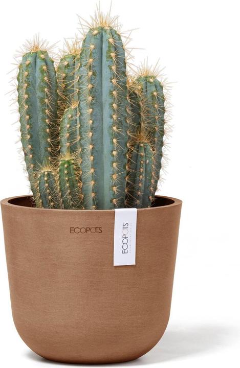 Image du produit Ecopots Oslo Mini (16 cm)