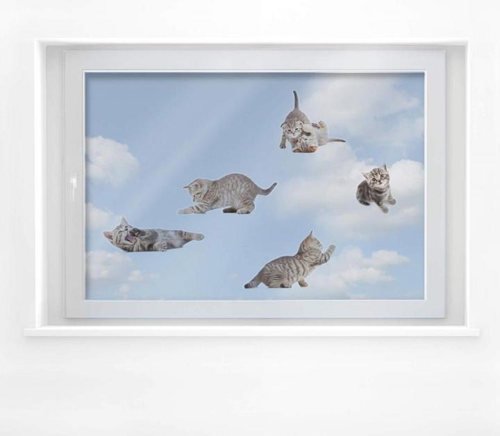 Produktbild Trenddeko Real baby cats Set 01 (90 x 21 cm)