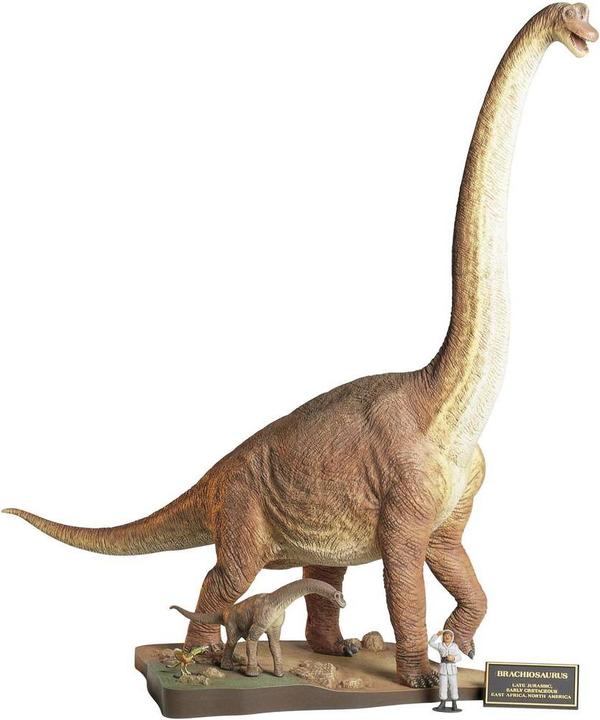 Immagine prodotto Tamiya 300060106 Brachiosaure Dinosau